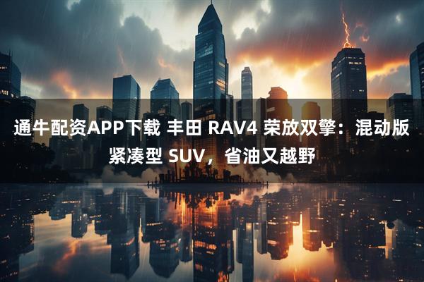 通牛配资APP下载 丰田 RAV4 荣放双擎：混动版紧凑型 SUV，省油又越野