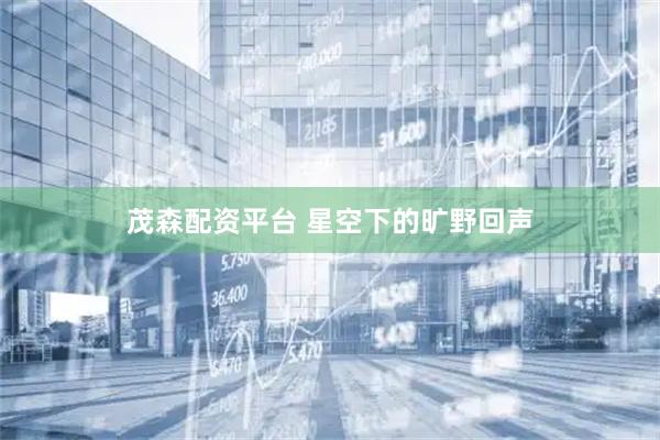 茂森配资平台 星空下的旷野回声